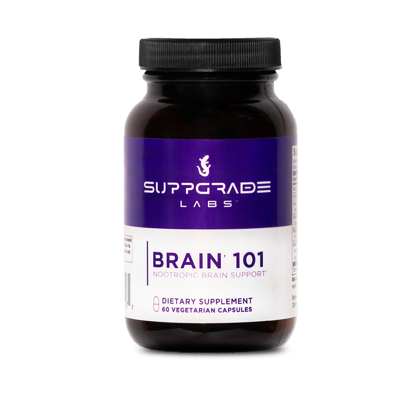 Brain 101