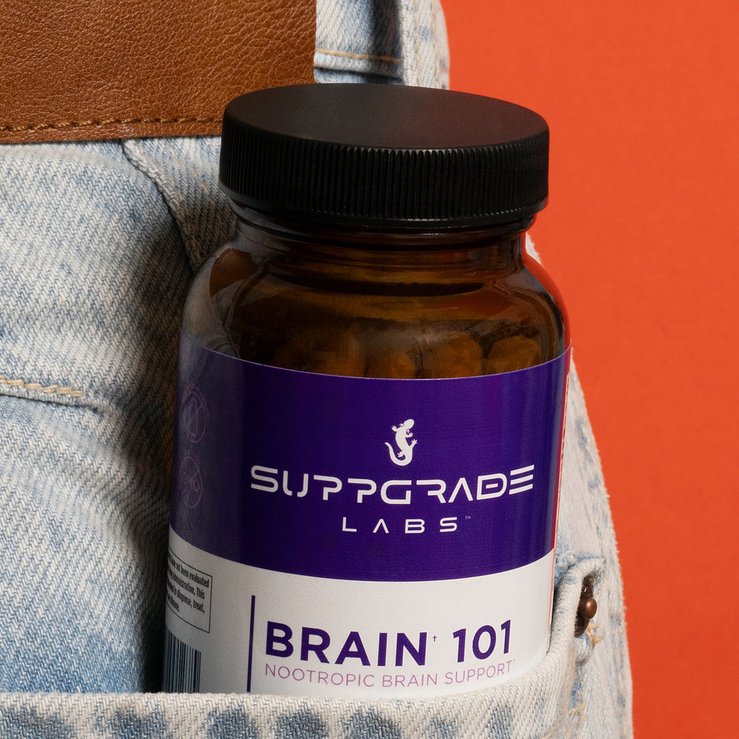 Brain 101