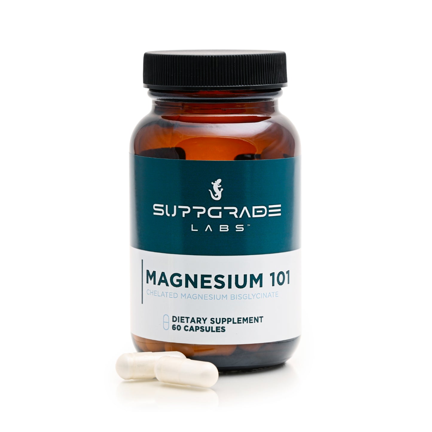 Magnesium 101
