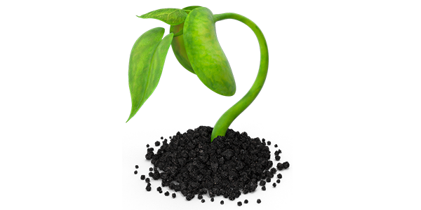 Graphic of a plant sprout shown