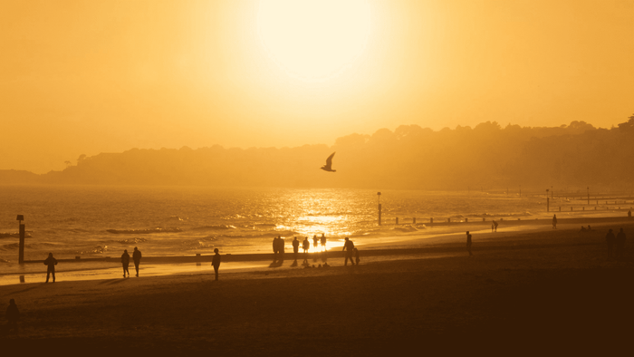 Sunset over a beach with silhouettes of people walking and a bird flying above the water.