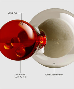 MCT oil (carrier)